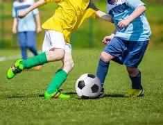 中秋晚会湖,南卫视阵容,揭晓,好博体育官网,APP下载,注册领彩金,官方网站,网站入口